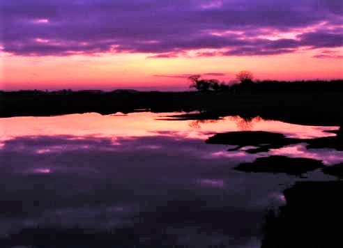 February sunset over the re-landscaped wetland area Re-created wetland